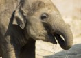 /album/zoo/img-0349-masolata-jpg/
